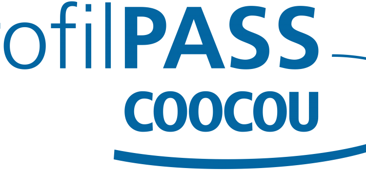 Identification of needs and first research results in the COOCOU project Identification of needs and first research results in the COOCOU project
