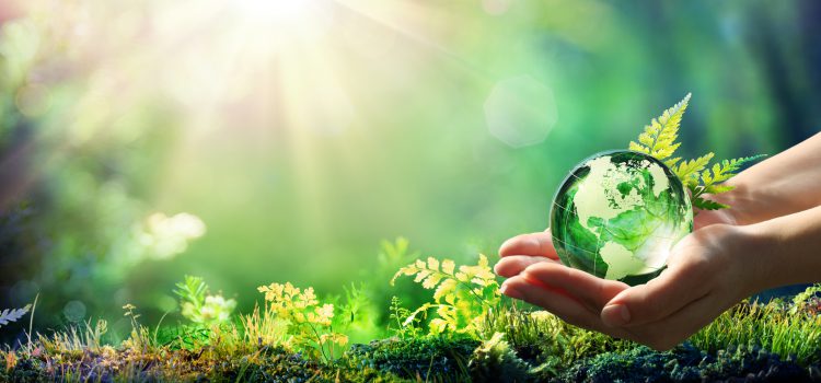 Ready for Erasmus+ 2021-2027 – Learning and working for sustainability Ready for Erasmus+ 2021-2027 – Learning and working for sustainability